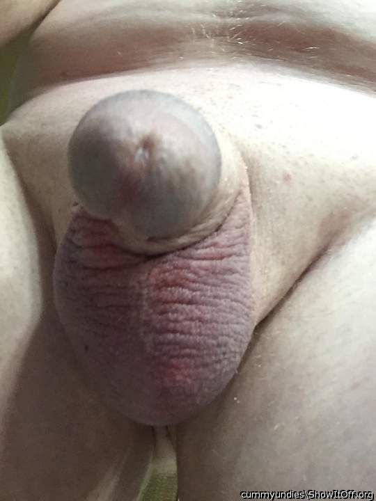 Photo of a boner from cummyundies