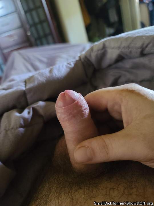 Photo of a penile from SmallDickTanner