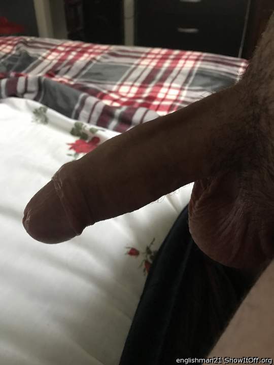 Photo of a sausage from Englishman21