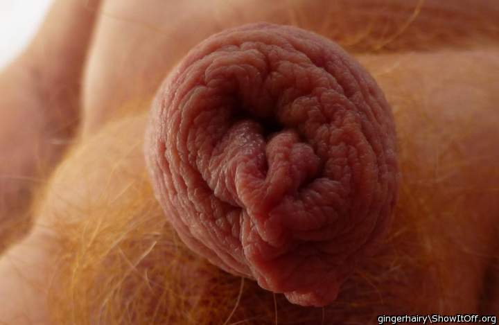Photo of a pecker from gingerhairy