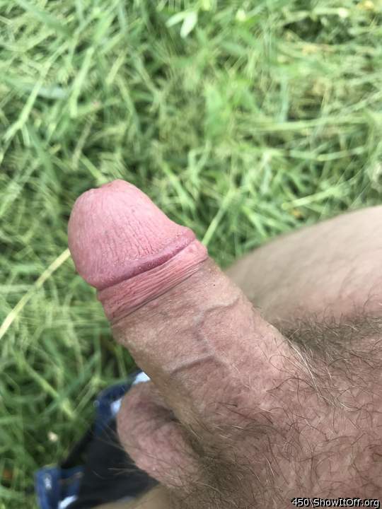 A favourite dick