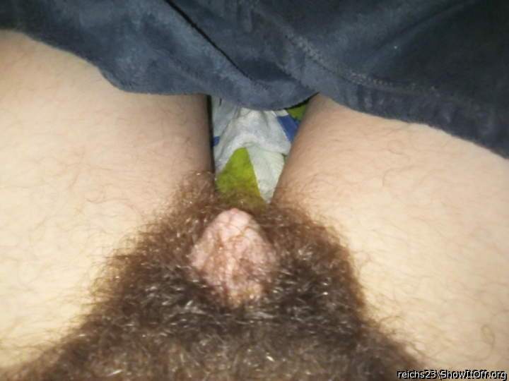 Photo of a pecker from reichs23