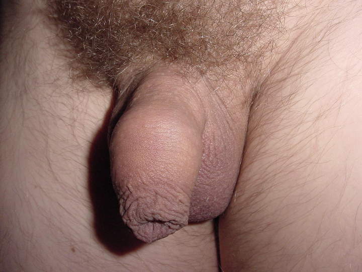 Photo of a pecker from uncutdick