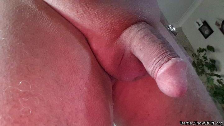 You like my tanned cock don't you? I am a naturist and enjoy
