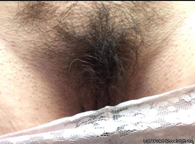 Sweet hairy pussy.   