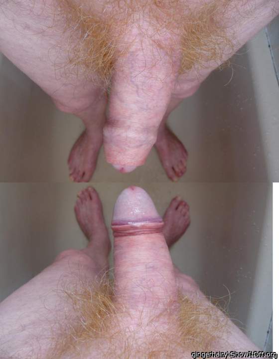 Photo of a penis from gingerhairy