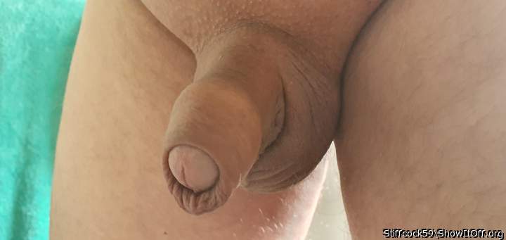 Photo of a penile from Stiffcock59