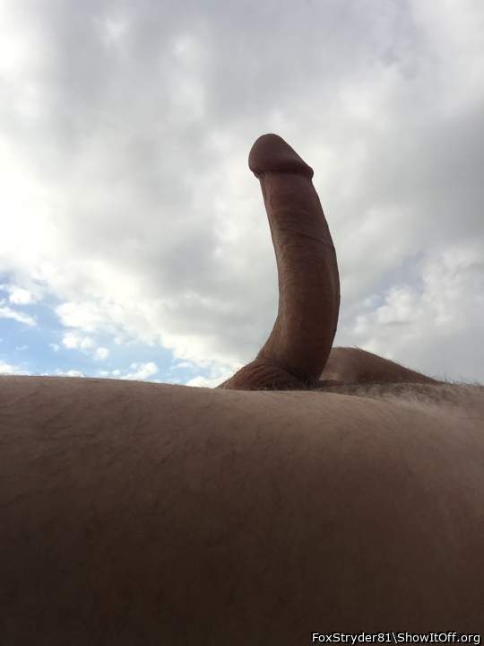 Photo of a penile from FoxStryder81