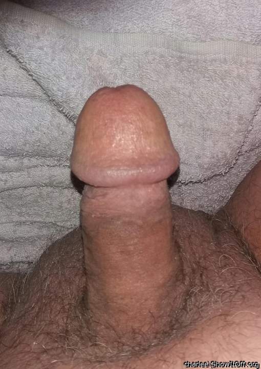 Sexy suckable penis 