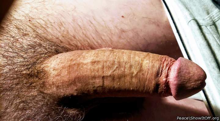 Great looking cock...long and hard, nice helmett with wrinkl