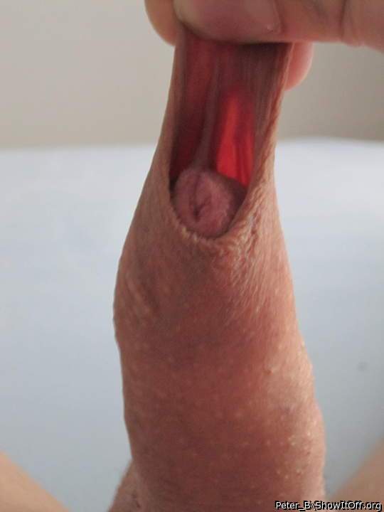Photo of a cock from peter_b