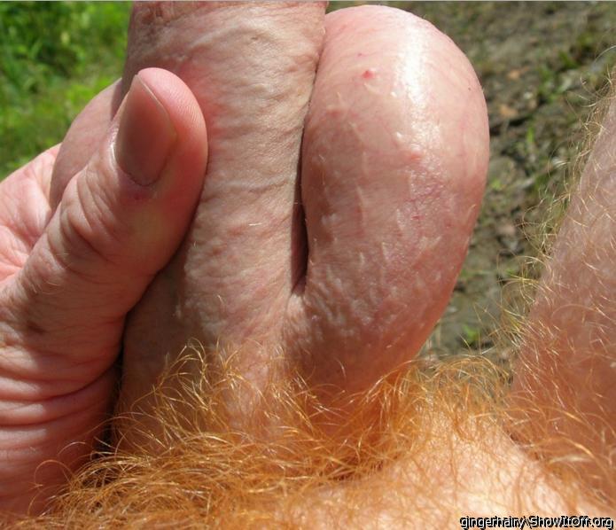 Photo of a dong from gingerhairy