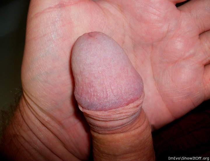 Flaccid penis with nude glans