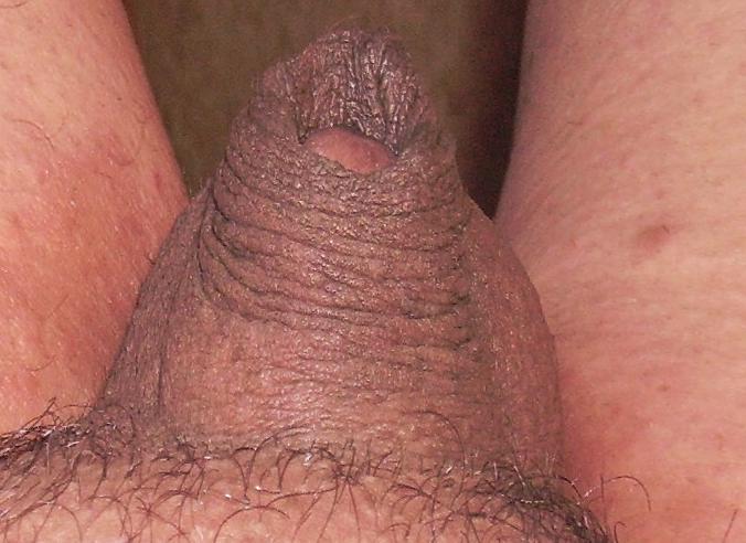 Photo of a boner from greatct