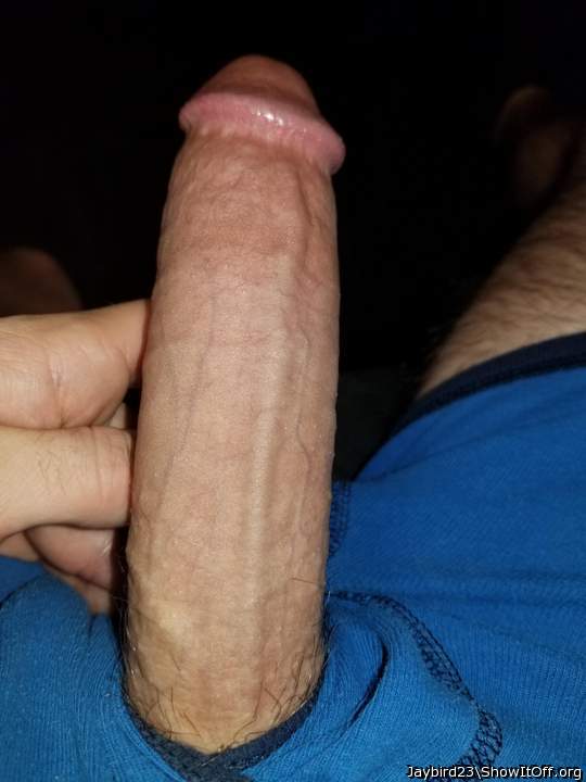 Photo of a cock from Jaybird23