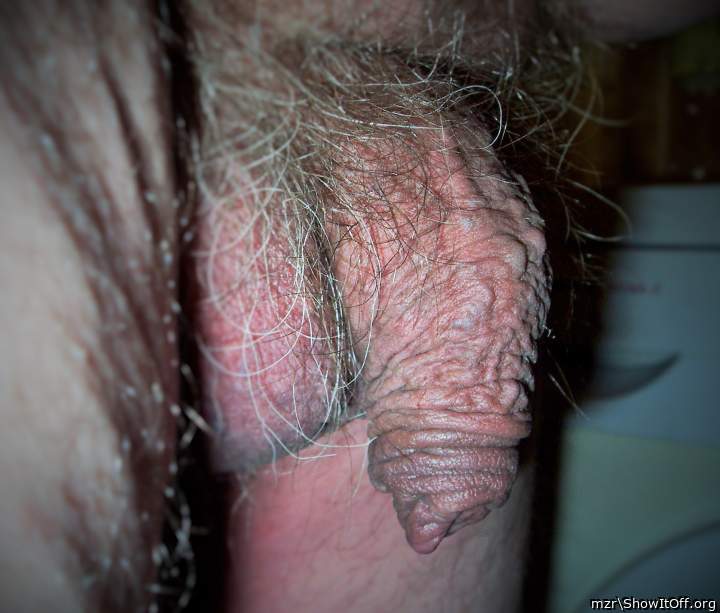 Old wrinkled uncircumcised cock with fleshy foreskin