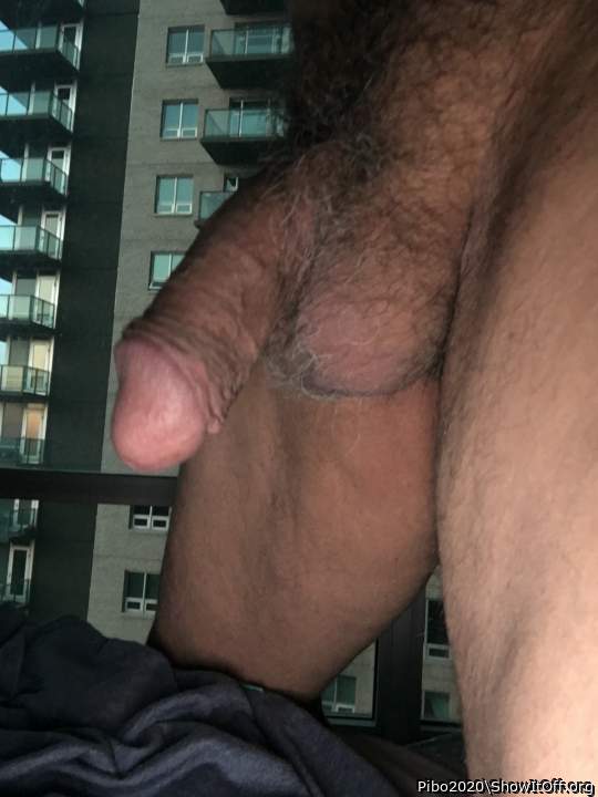 Thats a beautiful hairy cock & balls. Luv to be sucking on 
