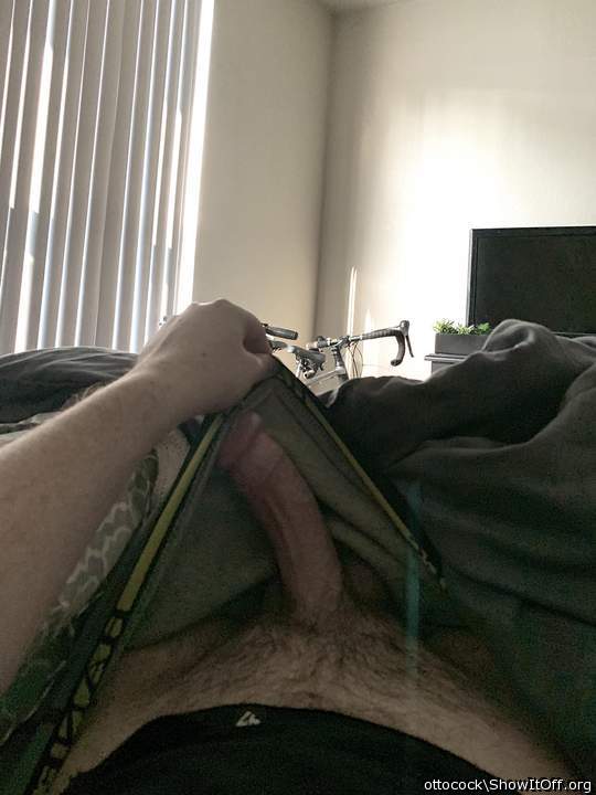 Morning wood reveal