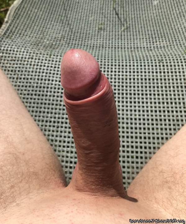 Photo of a dick from Boredconn7
