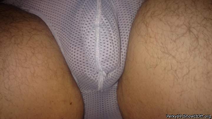 Photo of a cock from Perky69