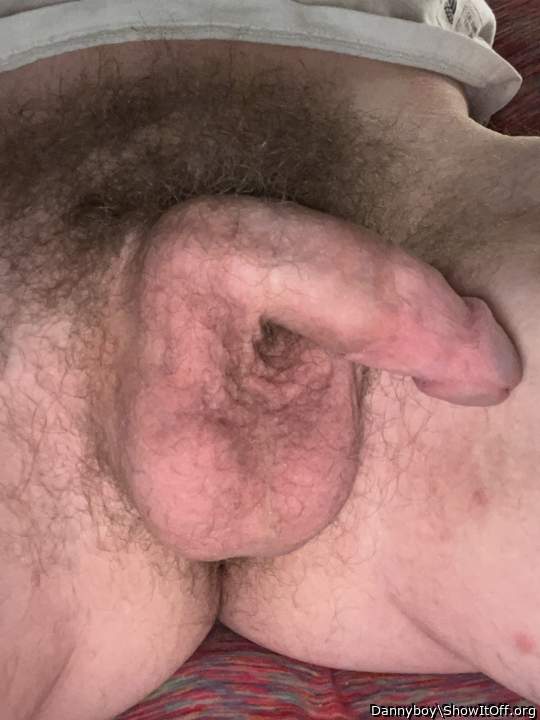 hot pic , u dick looks great with your pubes / hair  natural
