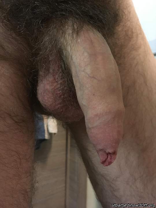 BEAUTIFUL STAR QUALITY UNCUT DICK, EXQUISITE FORESKIN and NI