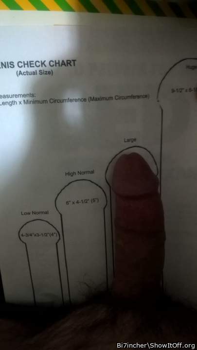 my cock filling up large size on cock measuring chart