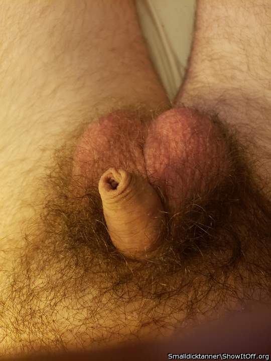 Very cute hairy dick!