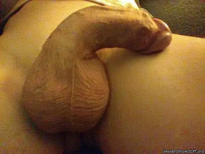 Lick that Shaved Nut Sack.You know you want it