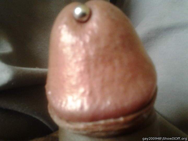 pierced cock