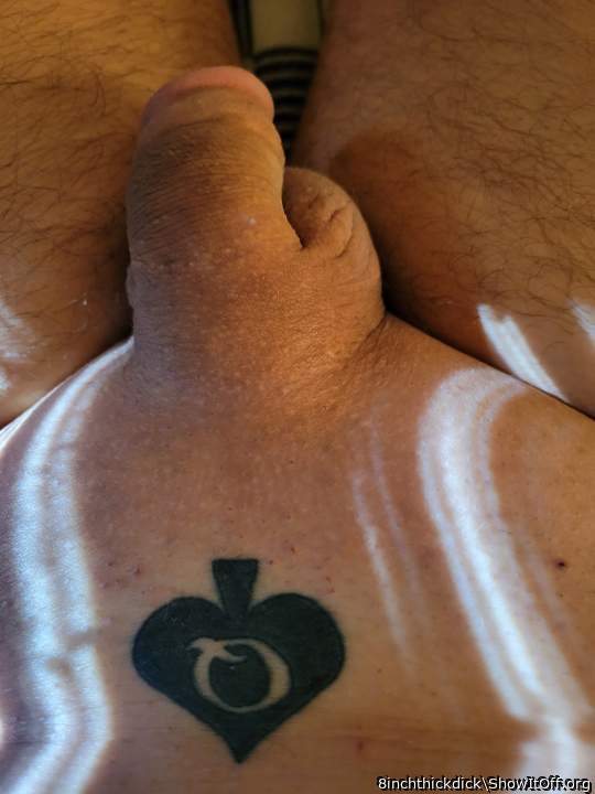 Photo of a schlong from 8inchthickdick