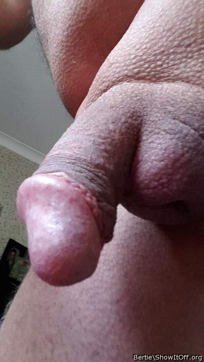 I would like to suck your cock 