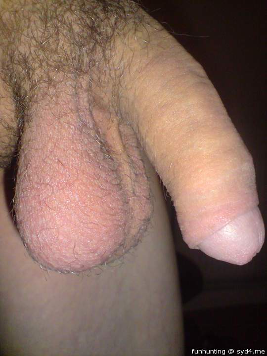 Photo of a penis from funhunting