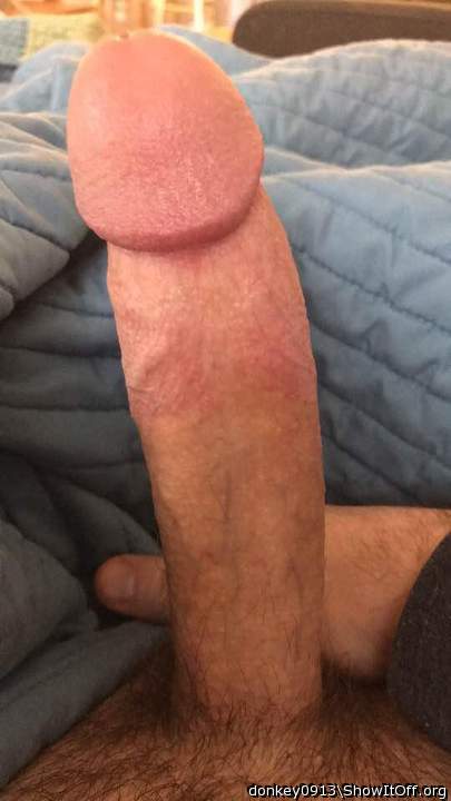 That is a cock that should have regular sucking!