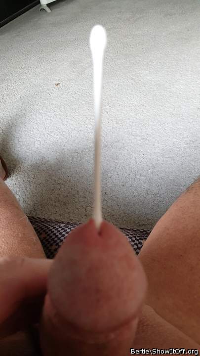 Photo of a short leg from Bertie