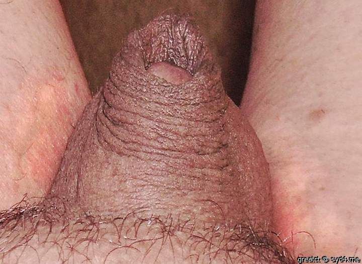 Photo of a penis from greatct