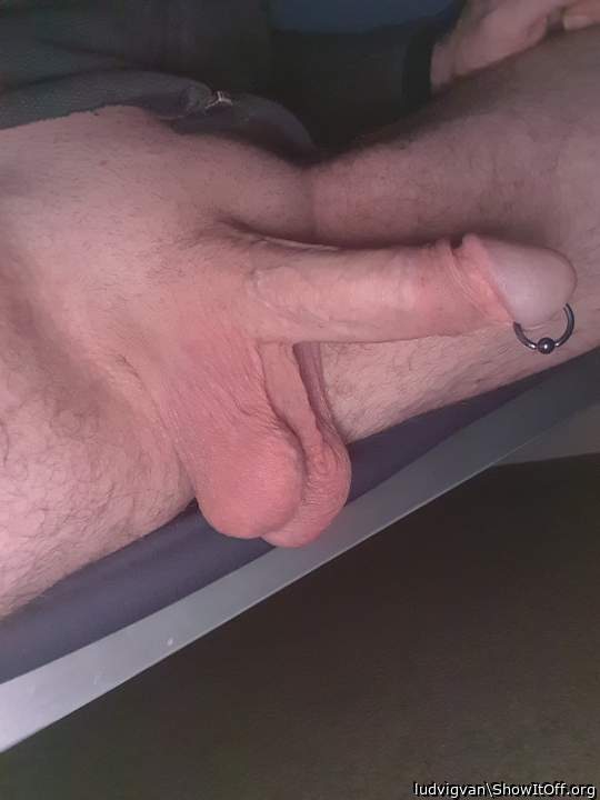Awesome pierced cock and balls!      