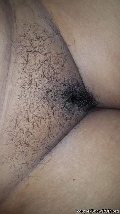 Nice hairy bush