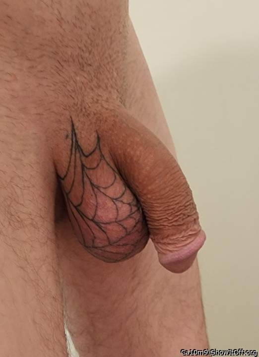 Spider web genital tattoo on my tight scrotum