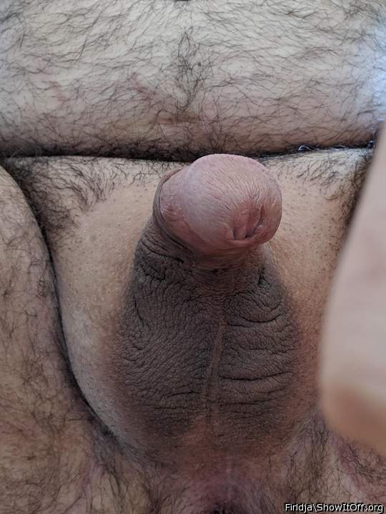 Photo of a dick from Firldja