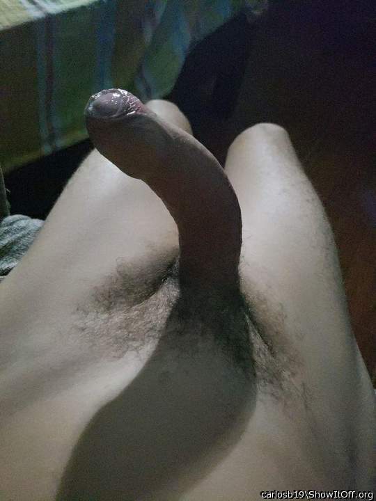 A big shadow of a sexy penis.