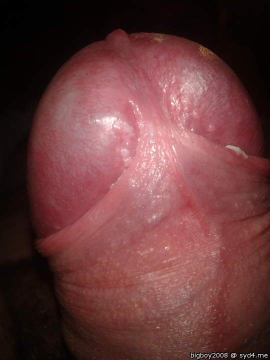 Photo of a pecker from bigboy2008
