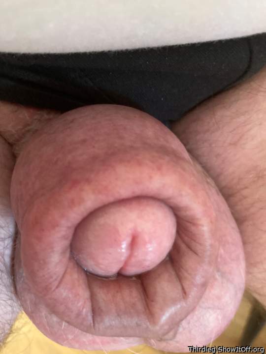 Photo of a boner from Thirdleg