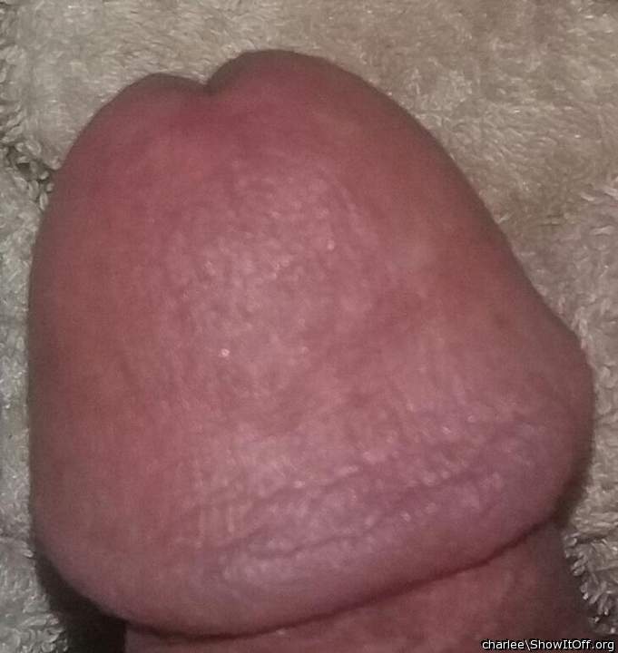 I want to take your awesome cock between my lips and wiggle 