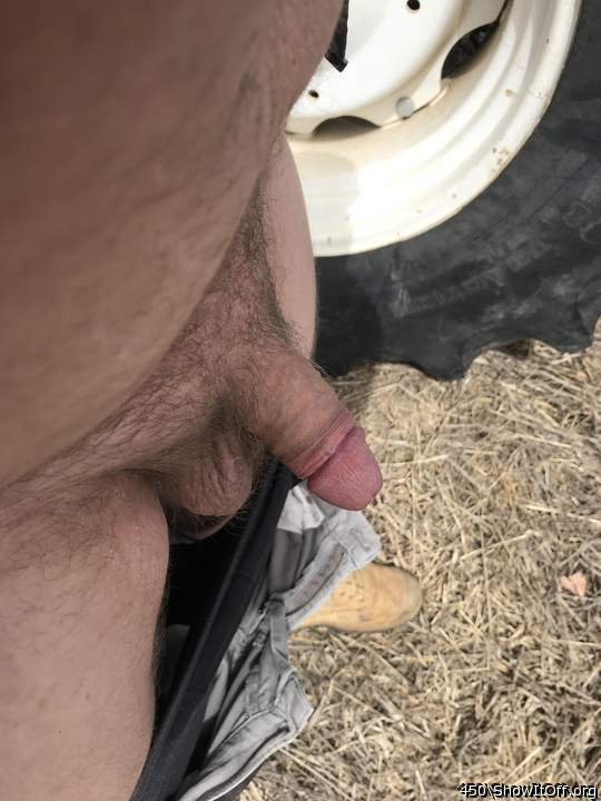 Photo of a penis from 450