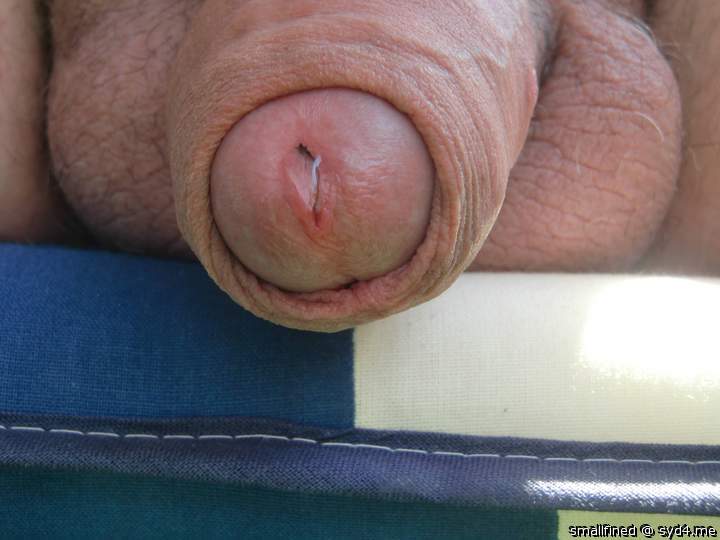 Photo of a dick from smallfined