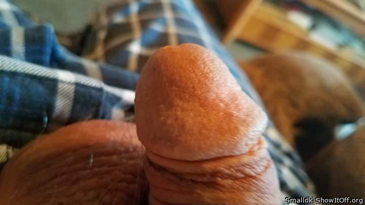 Photo of a phallus from Smalldk