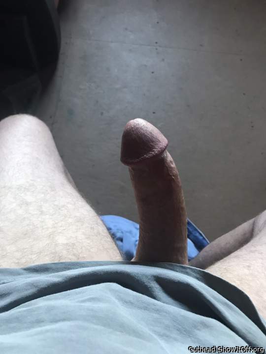 I need to suck this cock. It's exactly the type, shape and s