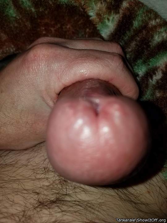 Photo of a penile from Tankerale