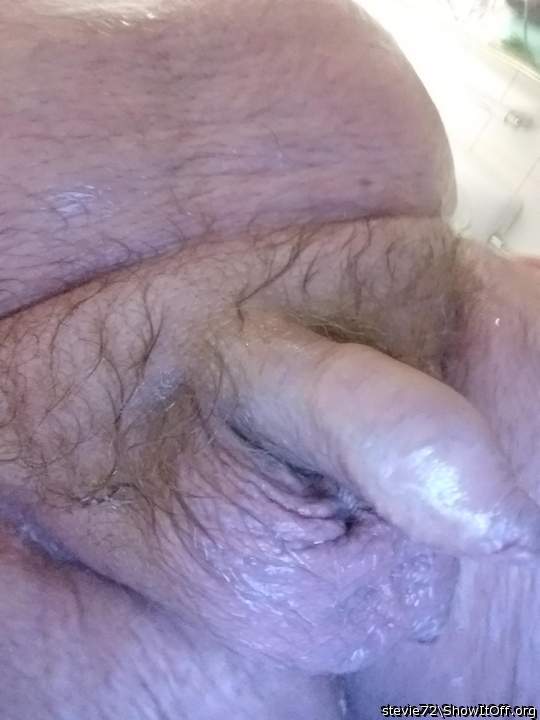 Photo of a cock from stevie72